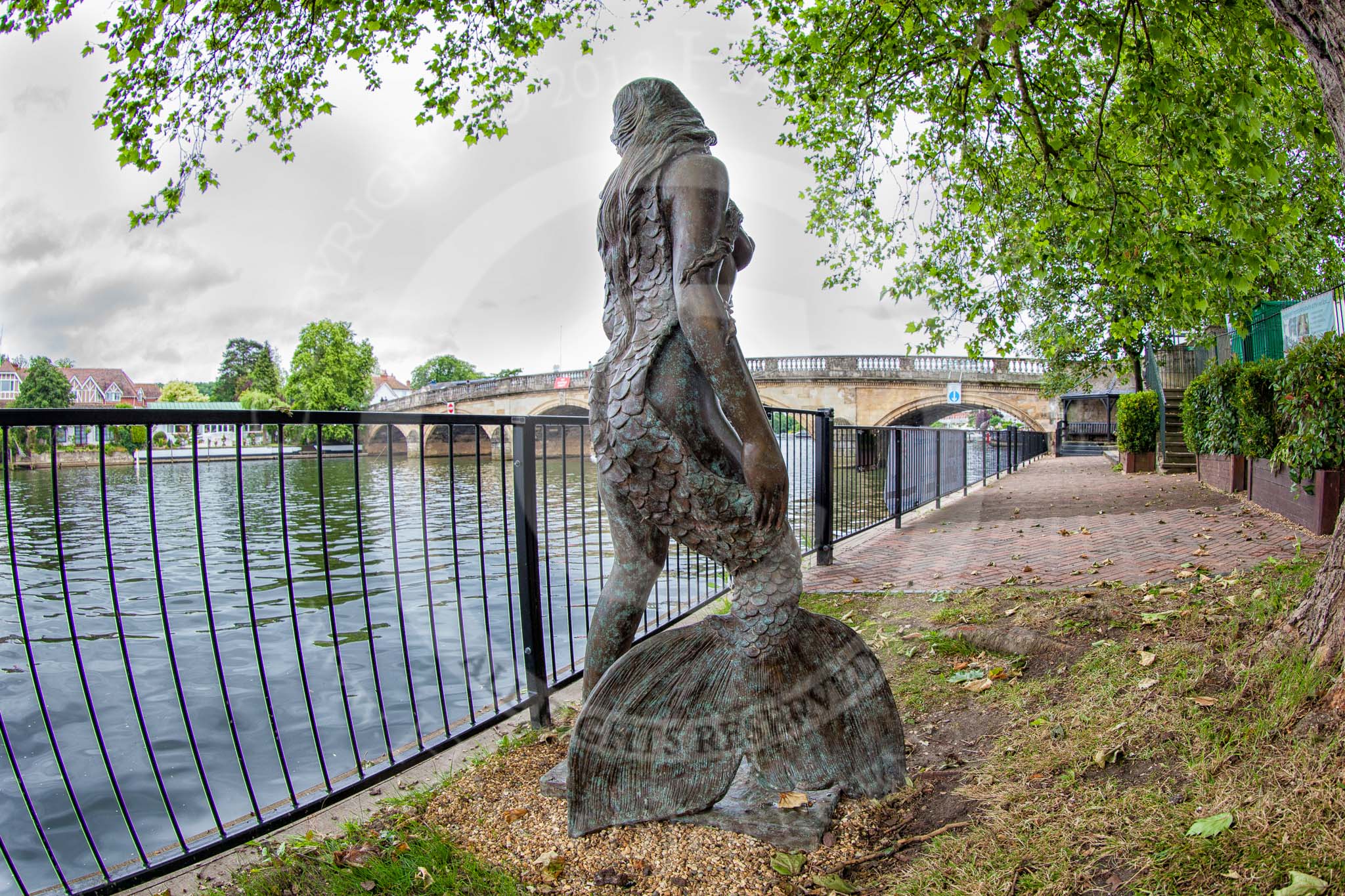 Henley Royal Regatta 2013 (Wednesday): The "Ama" mermaid bronze statue opposite the boat tents, on Red Lion Lawn, with Henley Bridge behind..
River Thames between Henley and Temple Island,
Henley-on-Thames,
Berkshire,
United Kingdom,
on 03 July 2013 at 09:31, image #10