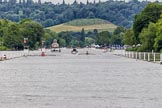 Henley Royal Regatta 2013 (Wednesday): The Henley Royal Regatta race course seen during the race between Griffen Boat Club, on the left ("Bucks station"), and Upper Thames Rowing Club 'B' on the right ("Berks station"), behind the competing boats the umpire's launch, and in the background Temple Island..
River Thames between Henley and Temple Island,
Henley-on-Thames,
Berkshire,
United Kingdom,
on 03 July 2013 at 09:36, image #13