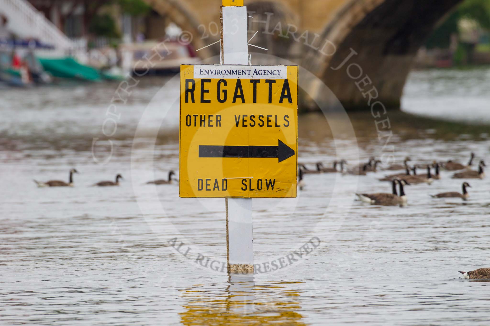 Henley Royal Regatta 2013, Thursday.
River Thames between Henley and Temple Island,
Henley-on-Thames,
Berkshire,
United Kingdom,
on 04 July 2013 at 08:43, image #4