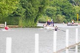 Henley Royal Regatta 2013, Thursday.
River Thames between Henley and Temple Island,
Henley-on-Thames,
Berkshire,
United Kingdom,
on 04 July 2013 at 10:52, image #97
