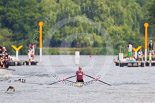 Henley Royal Regatta 2013, Saturday: Race No. 11 for the Princess Royal Challenge Cup, Victoria Thornley (Leander Club) v Emma Twigg (Waiariki Rowing Club, New Zealand), here Emma Twigg. Image #214, 06 July 2013 11:40 River Thames, Henley on Thames, UK