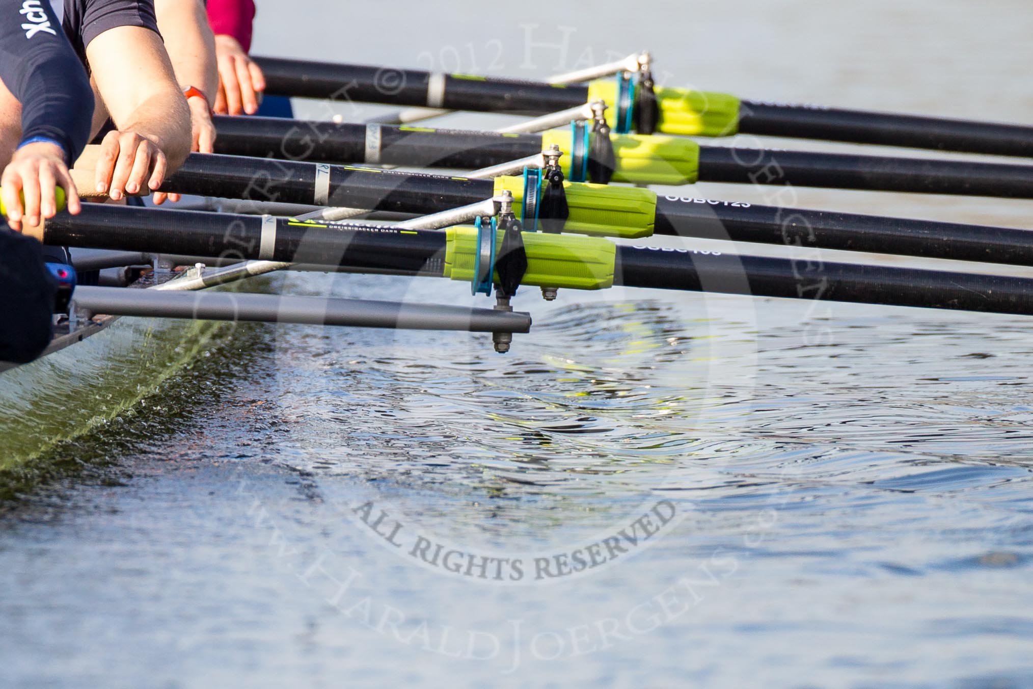 The Boat Race season 2012 - OUBC training: Detail shot of rowing at a professional standard - arms and oars..


Oxfordshire,
United Kingdom,
on 20 March 2012 at 15:51, image #55