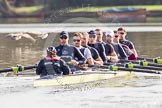 The Boat Race season 2012 - OUBC training: Cox Zoe de Toledo, stroke Roel Haen, 7 Dan Harvey, 6 Dr. Hanno Wienhausen, 5 Karl Hudspith, 4 Alexander Davidson, 3 Kevin Baum, 2 William Zeng, and bow Dr. Alexander Woods..


Oxfordshire,
United Kingdom,
on 20 March 2012 at 15:35, image #47