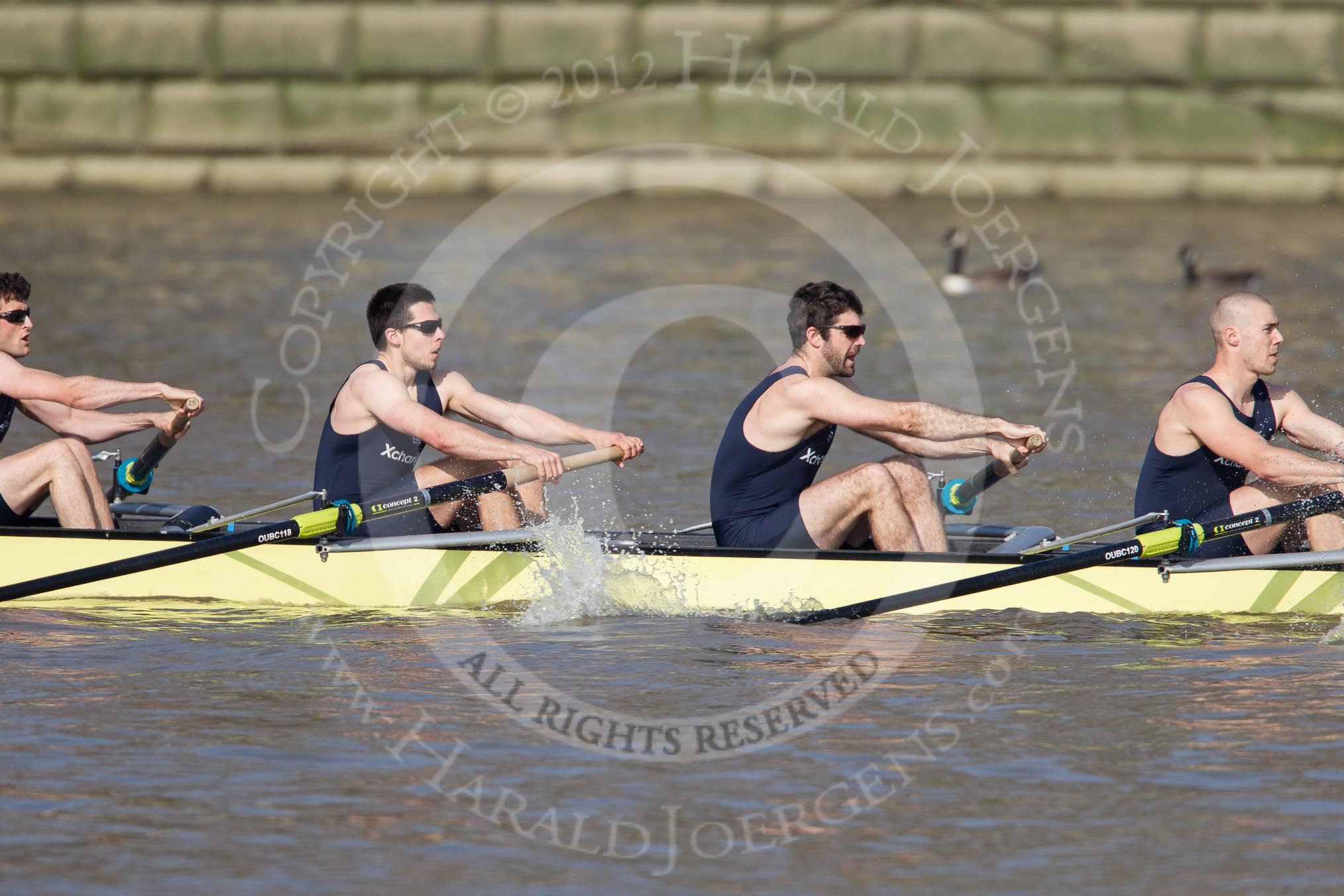 The Boat Race season 2012 - fixture OUBC vs Leander: OUBC's Blue Boat, here bowman Dr. Alexander Woods, William Zeng, Kevin Baum, and Alexander Davidson..




on 24 March 2012 at 14:29, image #111