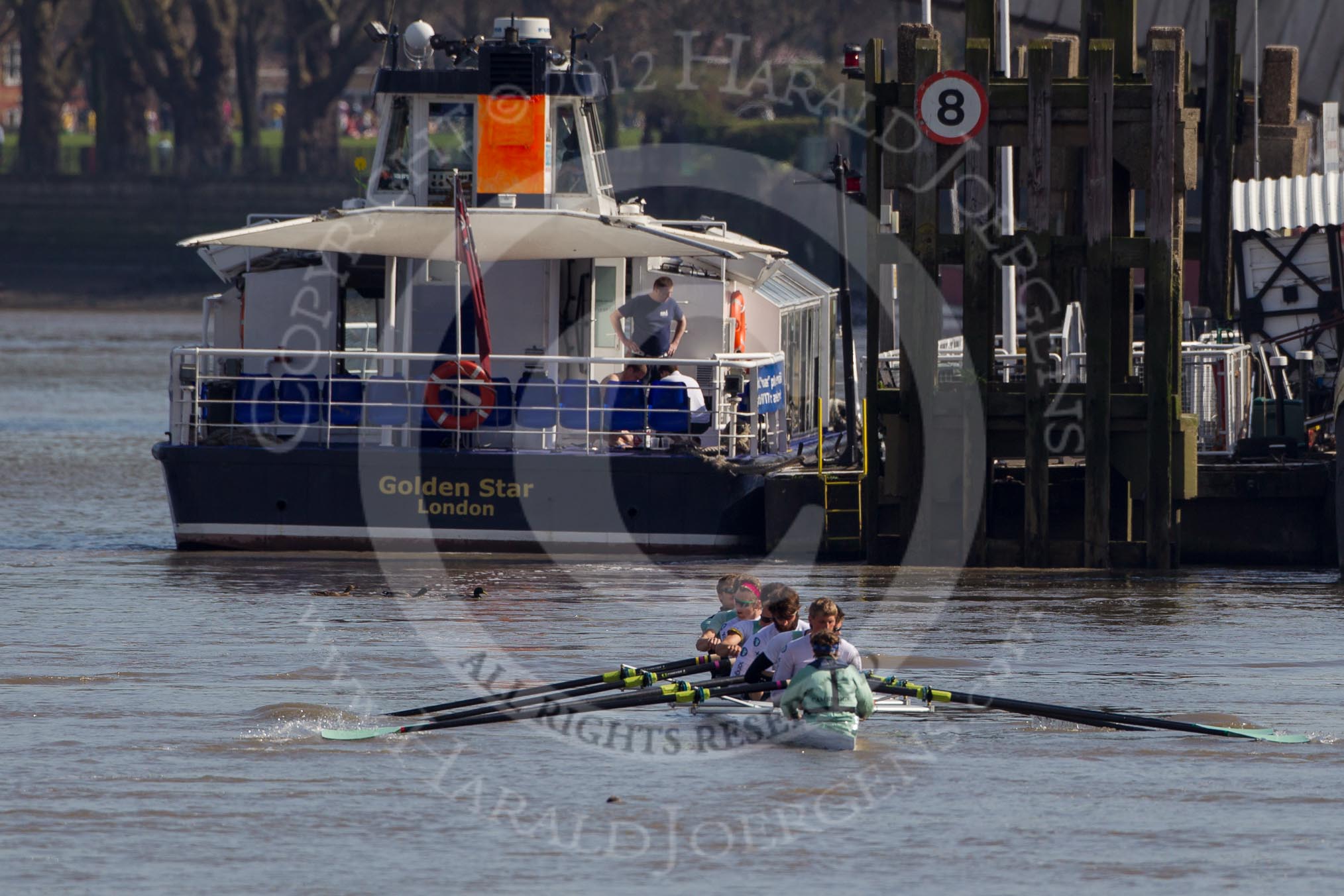 The Boat Race season 2012 - fixture CUBC vs Molesey BC: The CUBC Blue Boat getting ready to race Molesey BC - cox Ed Bosson, stroke Niles Garratt, Alexander Scharp, Steve Dudek, Mike Thorp, Alex Ross, Jack Lindeman, Moritz Schramm, and bow David Nelson..




on 25 March 2012 at 14:44, image #33