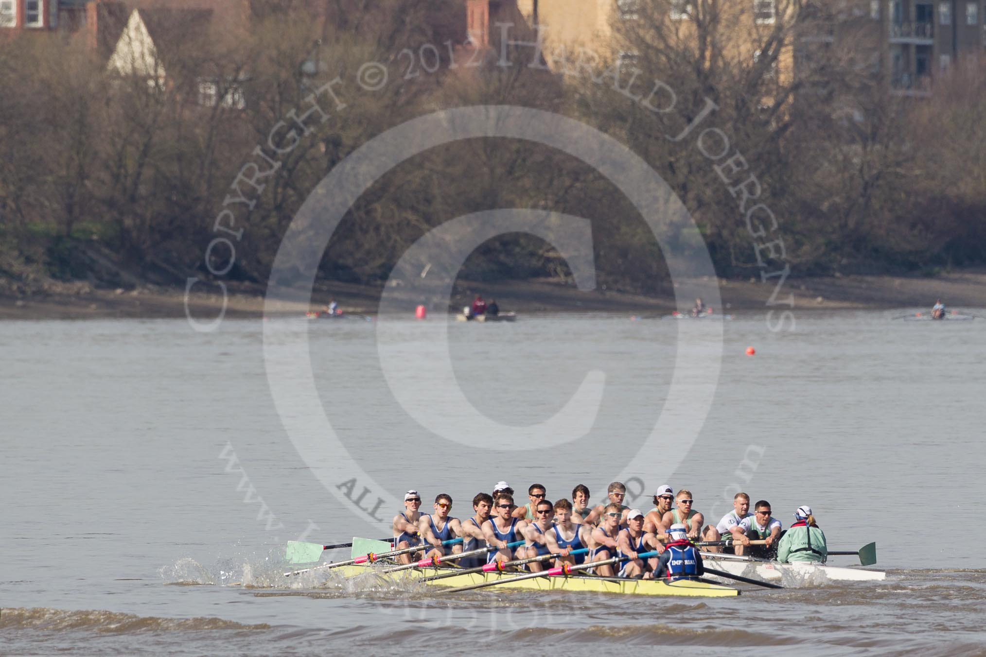 The Boat Race season 2012 - fixture CUBC vs Molesey BC: CUBC Goldie v Imperial fixture: For Cambridge bow Josh Pendry, Rowan Lawson, Peter Dewhurst, Tom Havorth, Hank Moore, Joel Jennings, Philip Williams, stroke Felix Wood, and cox Sarah Smart, for Imperial BC bow Alex Gillies, Adam Seward, Leo Carrington, David Whiffin, Jonathan Davies, Tom Fielder, Josh Butler, stroke Mark Patterson, and cox Henry Fieldman..




on 25 March 2012 at 14:47, image #64