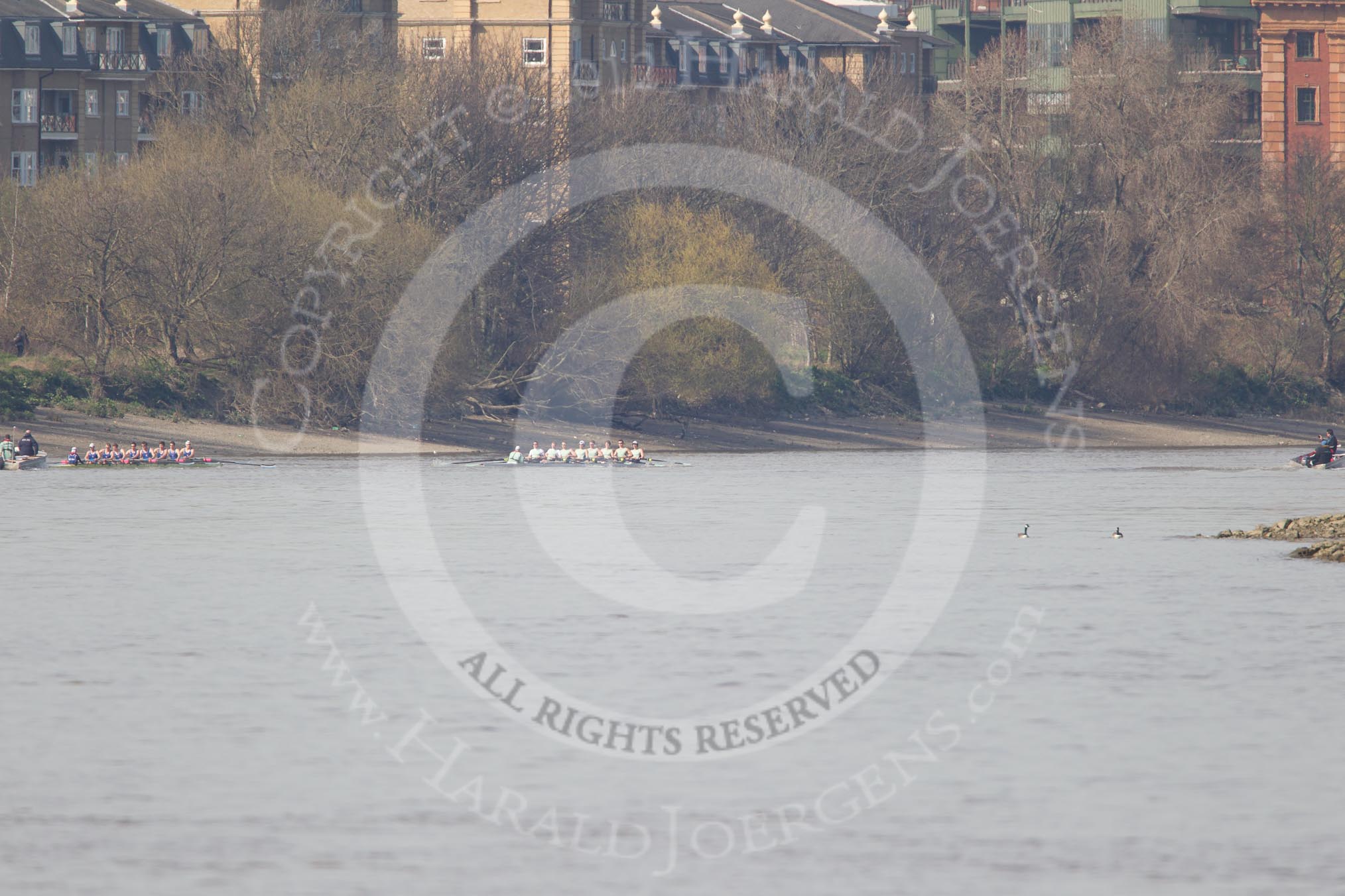 The Boat Race season 2012 - fixture CUBC vs Molesey BC: CUBC Goldie v Imperial fixture: Goldie leading towards Harrods Repository, behind the Imperial boat umpire Simon Harris..




on 25 March 2012 at 14:49, image #73