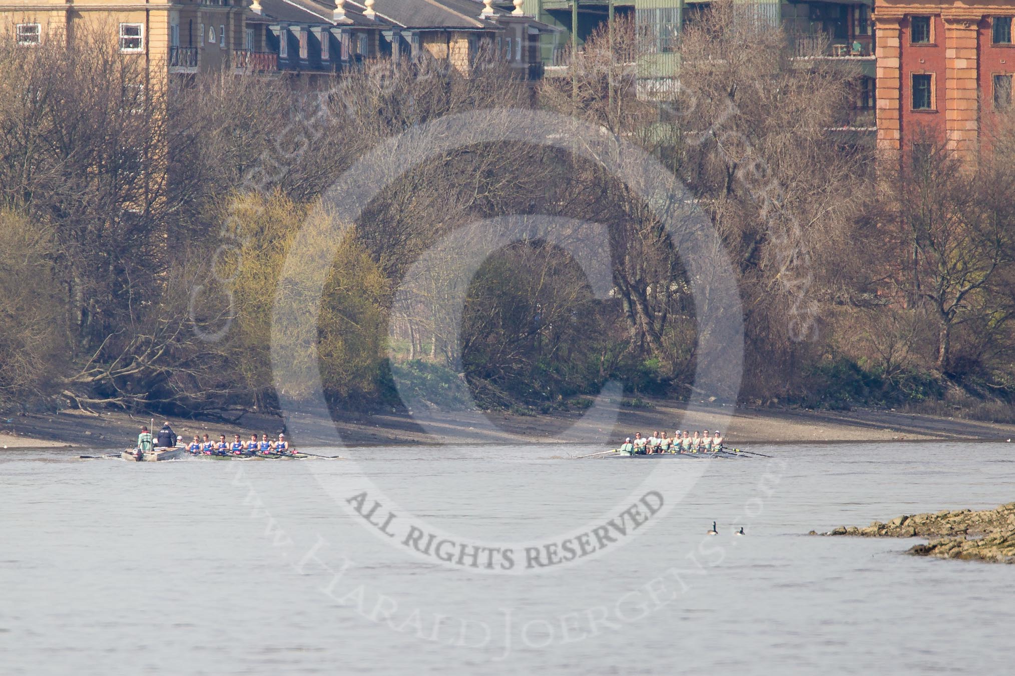 The Boat Race season 2012 - fixture CUBC vs Molesey BC: CUBC Goldie v Imperial fixture: Goldie leading towards Harrods Repository, behind the Imperial boat umpire Simon Harris..




on 25 March 2012 at 14:50, image #74