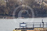 The Boat Race season 2012 - fixture CUBC vs Molesey BC: CUBC Goldie v Imperial fixture: Goldie leading towards the Mile Post, behind  the Imperial boat umpire Simon Harris..




on 25 March 2012 at 14:49, image #68