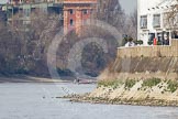 The Boat Race season 2012 - fixture CUBC vs Molesey BC: CUBC Goldie v Imperial fixture: Goldie leading, and already out of the line of sight towards Hammersmith Bridge, behind the Imperial boat umpire Simon Harris. On the right  Fulham Football Club stadium..




on 25 March 2012 at 14:50, image #77