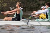 The Boat Race season 2012 - Tideway Week (Tuesday).




on 03 April 2012 at 10:52, image #107