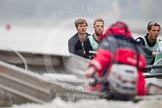 Cambridge University Boat Club Blue Boat during an outing on the River Thames, two days before the 2012 Boat Race. Bow man David Nelson, Moritz Schramm, Alex Ross, and on the left CUBC chief coach Steve Trapmore.