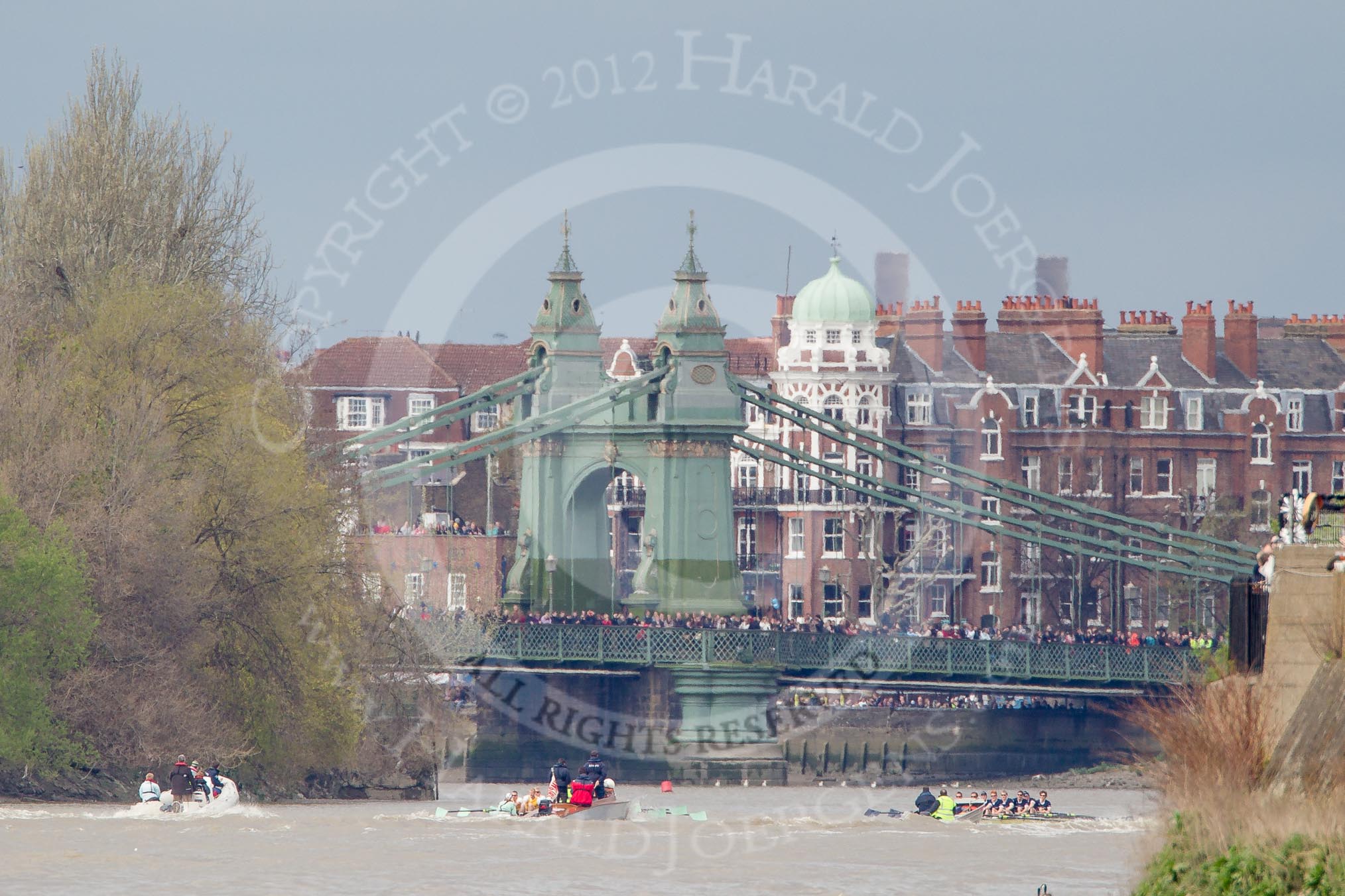 The Boat Race 2012: The Isis v Goldie Boat Race. The Oxford reserve boat Isis, in blue, in the lead, approaching Hammersmith Bridge, the Goldie crew in yellow..




on 07 April 2012 at 13:50, image #192