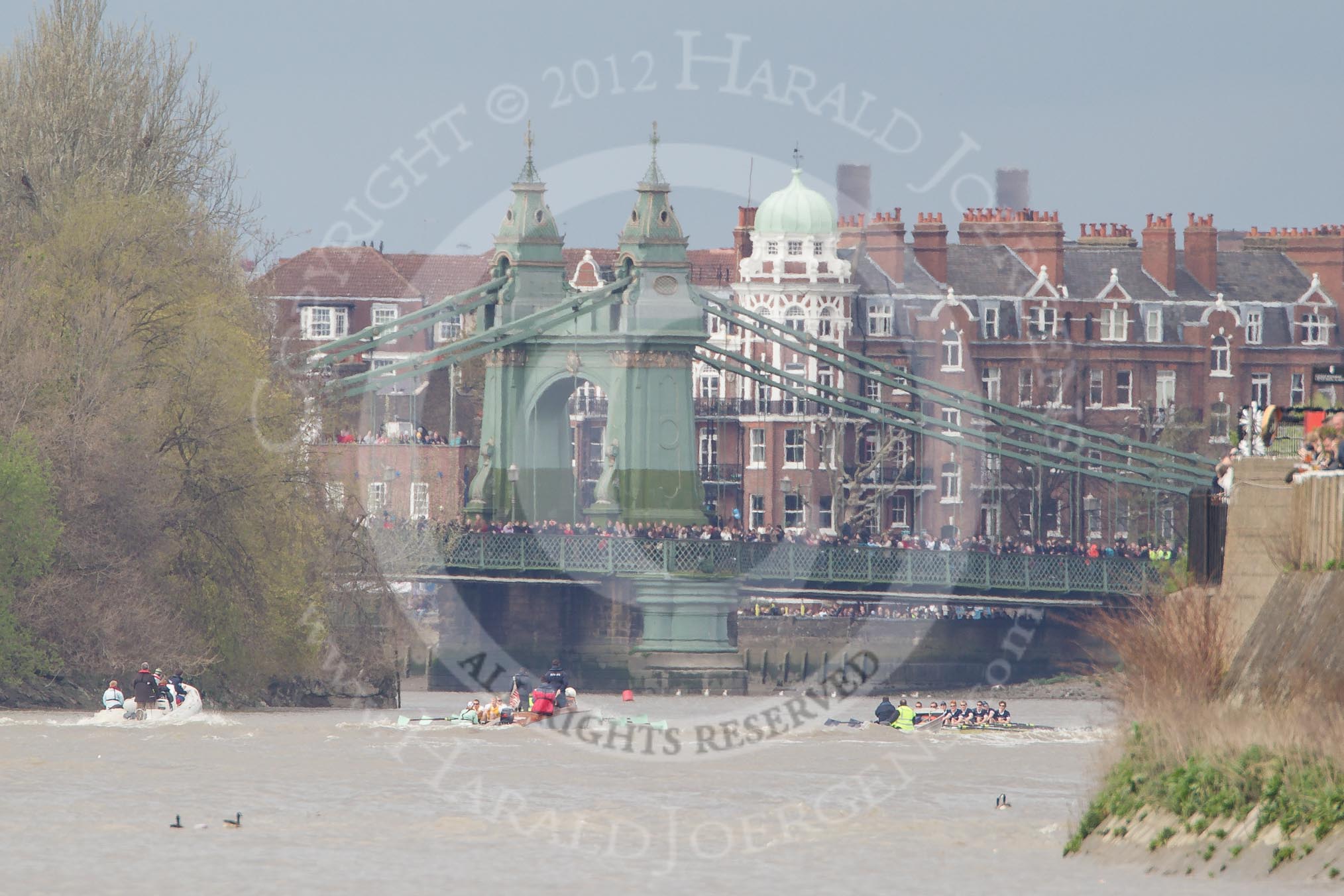 The Boat Race 2012: The Isis v Goldie Boat Race. The Oxford reserve boat Isis, in blue, in the lead, approaching Hammersmith Bridge, the Goldie crew in yellow..




on 07 April 2012 at 13:50, image #193