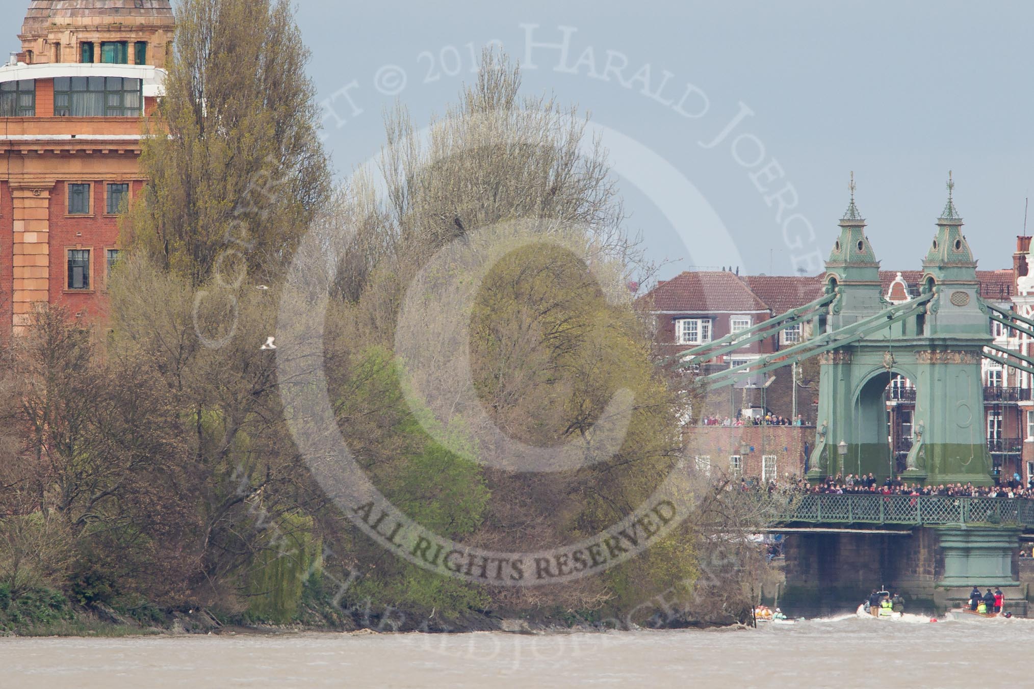 The Boat Race 2012: The Isis v Goldie Boat Race. The Oxford reserve boat Isis, in blue, in the lead, approaching Hammersmith Bridge, the Goldie crew in yellow..




on 07 April 2012 at 13:51, image #199