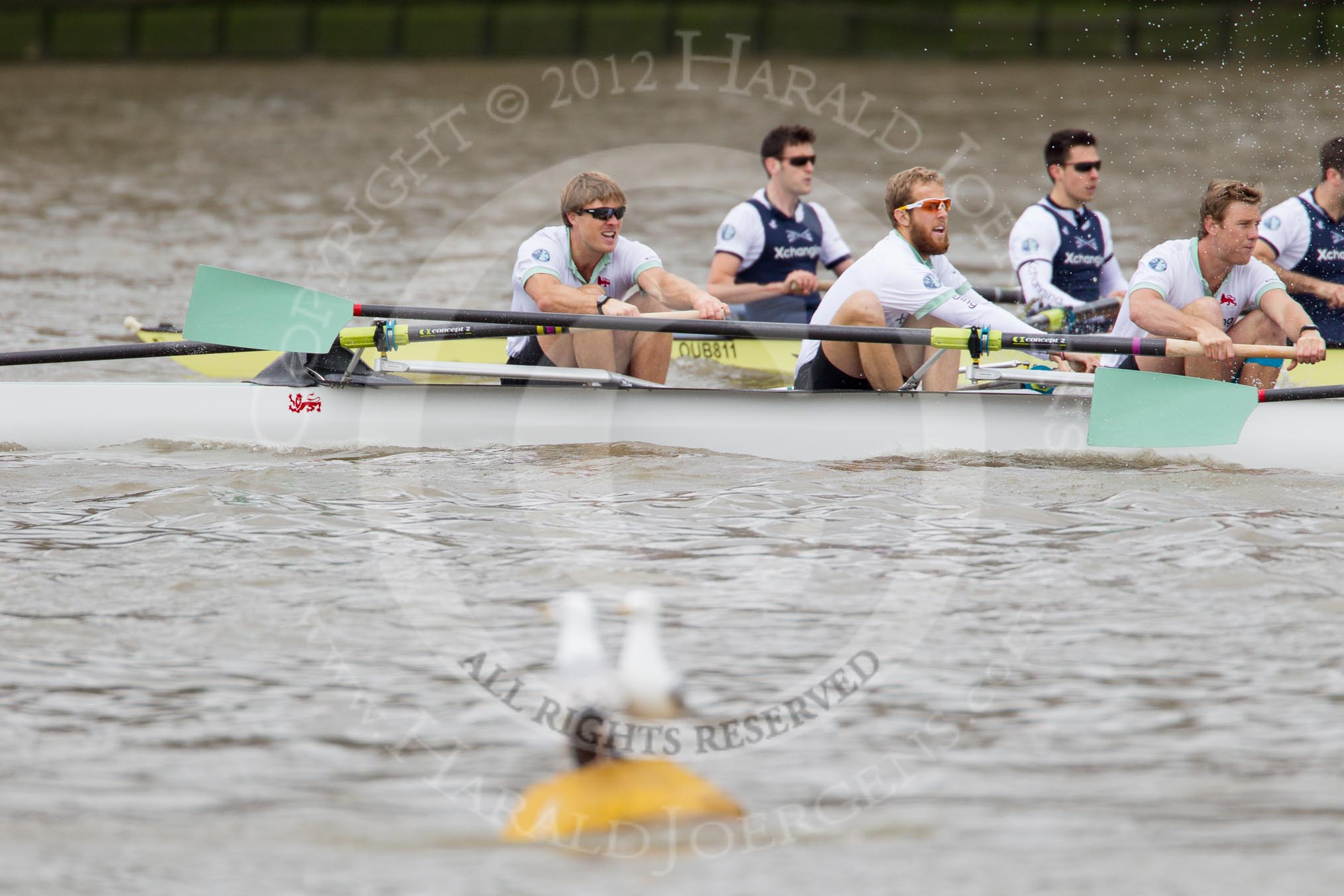 Photo 1204071416541D48408HaraldJoergens The Boat Race 2012: The 2012 Boat Race, shortly after the start: In the foreground the Cambridge Blue Boat, with David Nelson, Moritz Schramm, Jack Lindeman, in the Oxford boat Dr. Alexander Woods, William Zeng, and Kevin Baum..
on 07 April 2012 at 14:16, image #258
