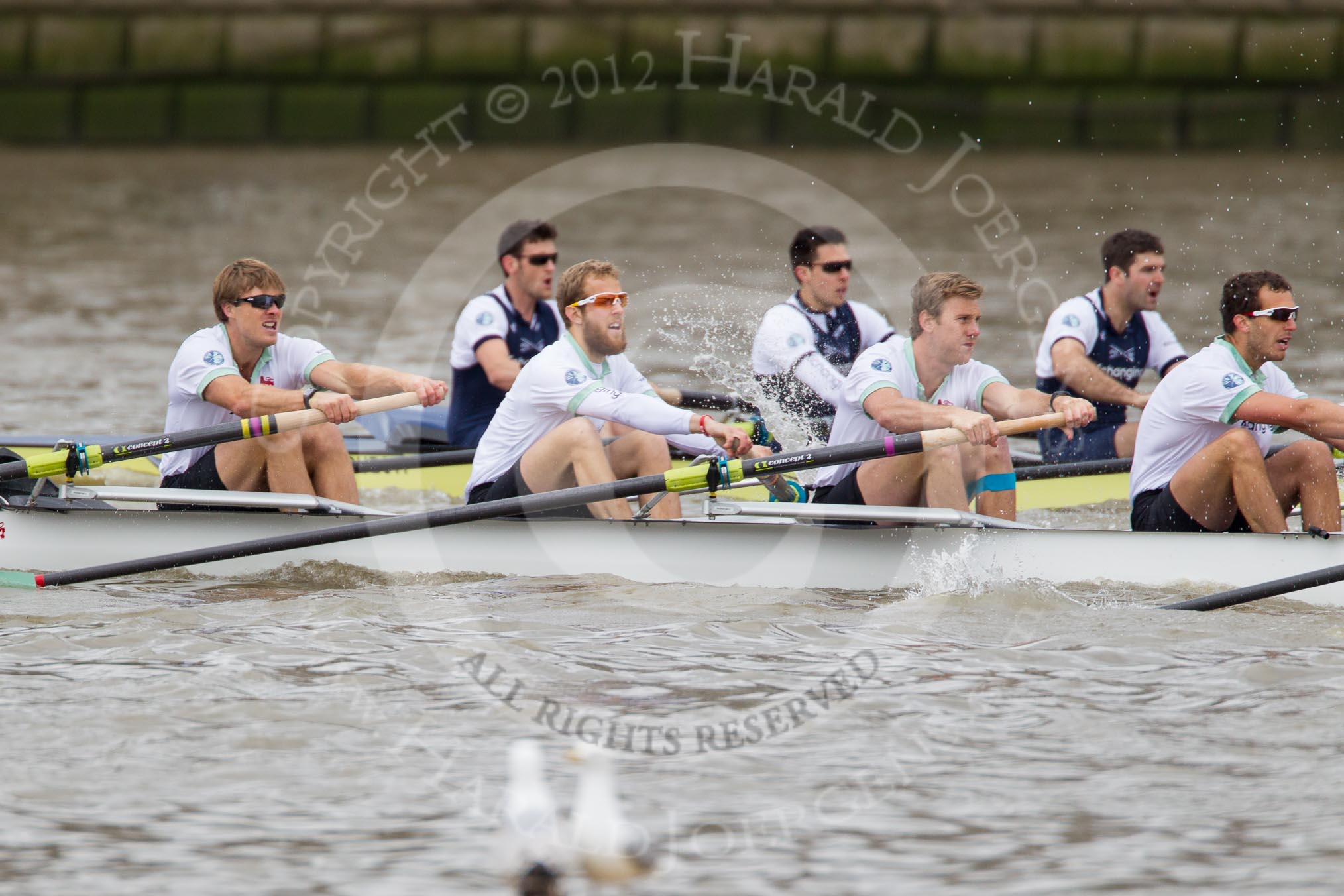Photo 1204071416551D48410HaraldJoergens The Boat Race 2012: The 2012 Boat Race, shortly after the start: In the foreground the Cambridge Blue Boat, with David Nelson, Moritz Schramm, Jack Lindeman, and Alex Ross, in the Oxford boat Dr. Alexander Woods, William Zeng, and Kevin Baum..
on 07 April 2012 at 14:16, image #259