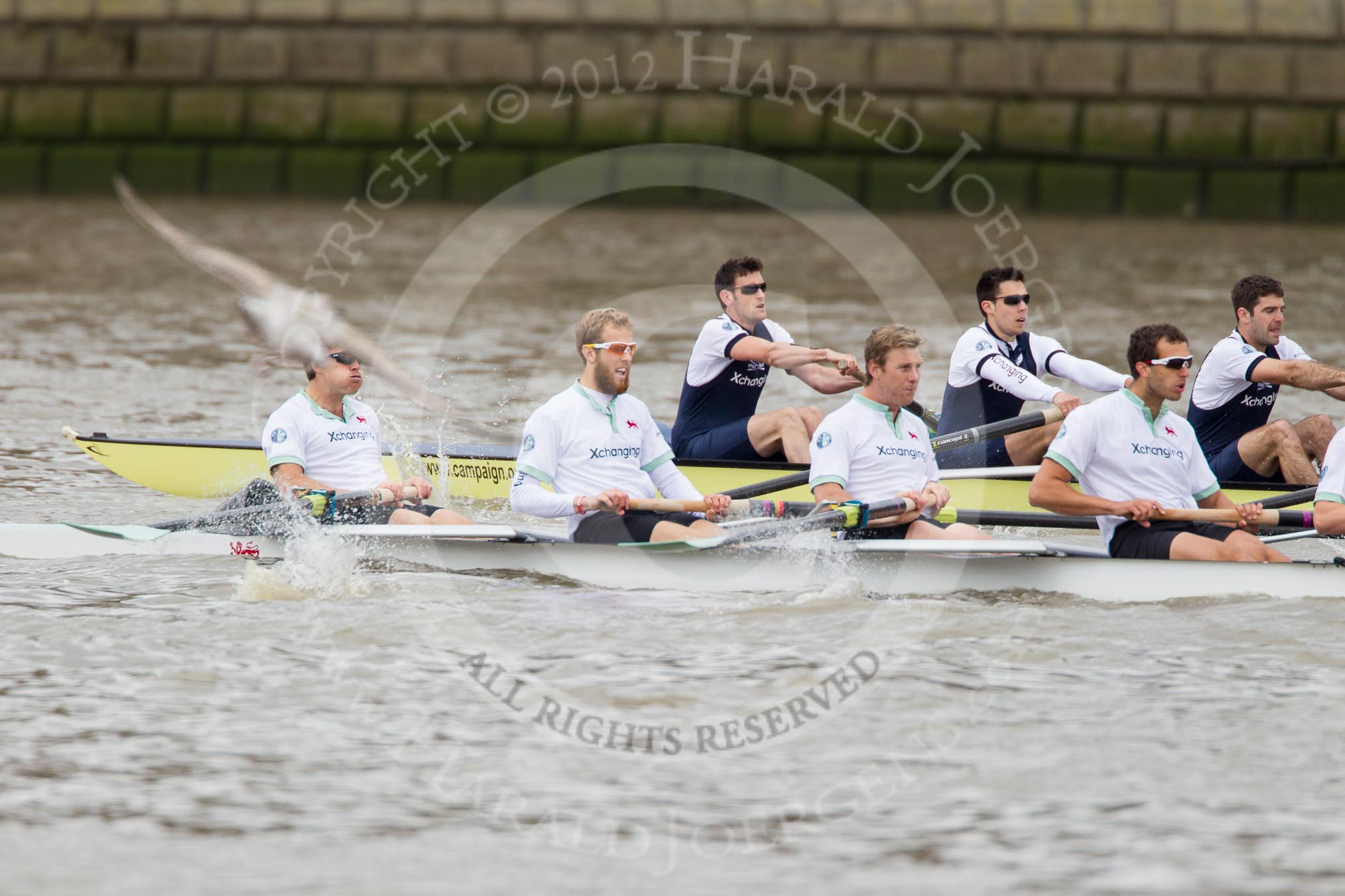 Photo 1204071416551D48412HaraldJoergens The Boat Race 2012: The 2012 Boat Race, shortly after the start: In the foreground the Cambridge Blue Boat, with David Nelson, Moritz Schramm, Jack Lindeman, and Alex Ross, in the Oxford boat Dr. Alexander Woods, William Zeng, and Kevin Baum..
on 07 April 2012 at 14:16, image #260
