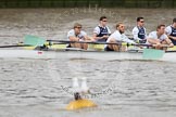 The Boat Race 2012: The 2012 Boat Race, shortly after the start: In the foreground the Cambridge Blue Boat, with David Nelson, Moritz Schramm, Jack Lindeman, in the Oxford boat Dr. Alexander Woods, William Zeng, and Kevin Baum..




on 07 April 2012 at 14:16, image #258