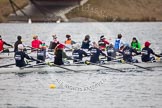 The Boat Race season 2013 - fixture OUWBC vs Molesey BC: OUWBC (Mariann Novak, Alice Carrington-Windo, Mary Foord Weston, Joanna Lee, Amy Varney, Harriet Keane, Anastasia Chitty, Maxie Scheske, Sophie Shawdon) v Molesey BC (Nel Castle-Smith, Elly Blackwell, Olivia Marshall, Catie Sharrod, Karen Bennett, Amelda Gare, Gabby Rodriguez, Sam Fowler, Helen Arbuthnot)..
Dorney Lake,
Dorney, Windsor,
Berkshire,
United Kingdom,
on 24 February 2013 at 11:44, image #64