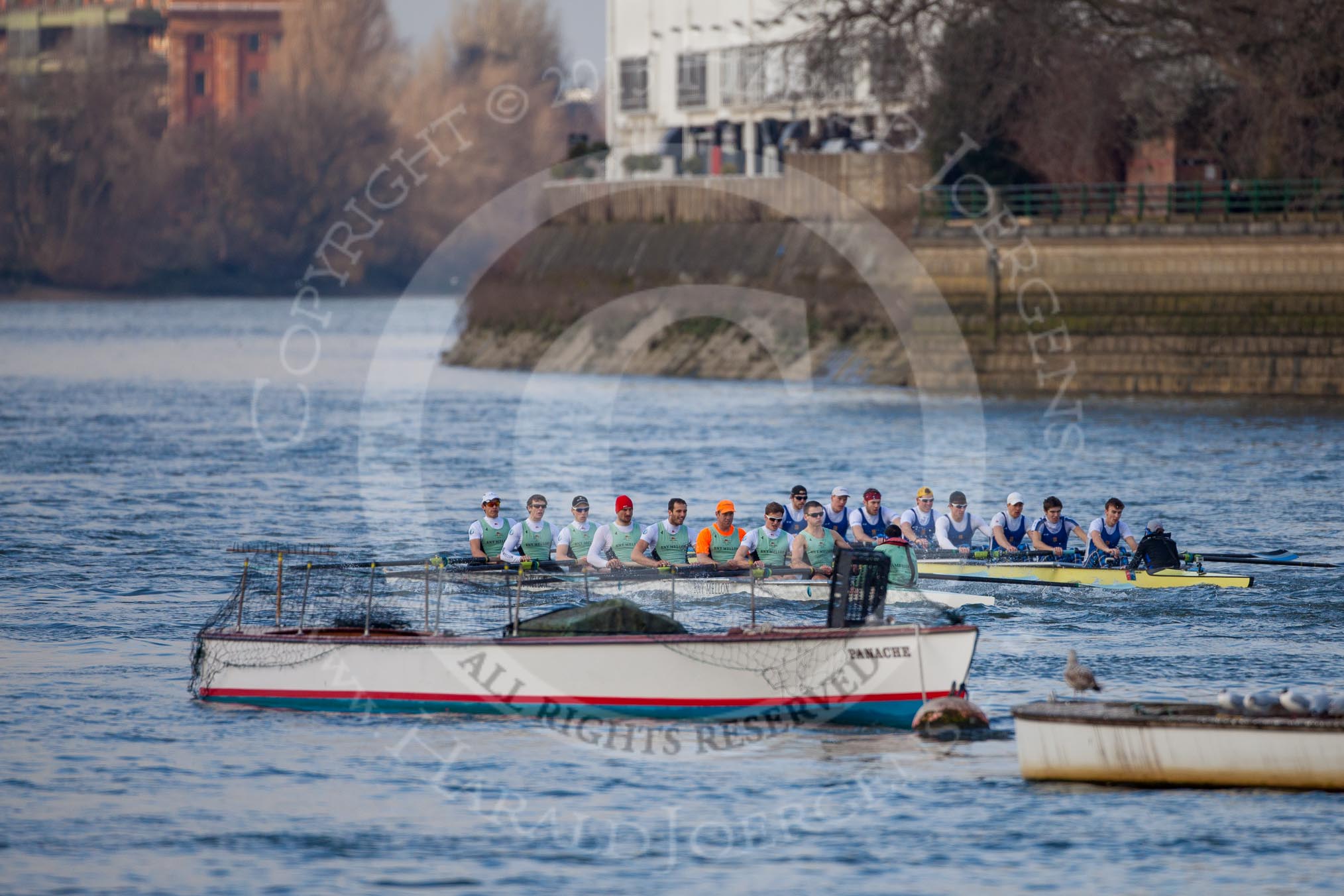 The Boat Race season 2013 - fixture CUBC vs Leander: The Goldie vs Imperial BC fixture..
River Thames Tideway between Putney Bridge and Mortlake,
London SW15,

United Kingdom,
on 02 March 2013 at 15:24, image #60