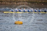 The Boat Race season 2013 - fixture CUBC vs Leander: Goldie vs Imperial BC shortly after the start of their fixture - Imperial, on the left, and out of the frame, leading..
River Thames Tideway between Putney Bridge and Mortlake,
London SW15,

United Kingdom,
on 02 March 2013 at 15:23, image #28