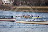 The Boat Race season 2013 - fixture CUBC vs Leander: The Goldie vs Imperial BC fixture..
River Thames Tideway between Putney Bridge and Mortlake,
London SW15,

United Kingdom,
on 02 March 2013 at 15:24, image #59