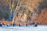 The Boat Race season 2013 - OUWBC training: In the OUWBC Blue Boat 4 seat Jo Lee, Amy Varney, Harriet Keane, Anastasia Chitty, stroke Maxie Scheske, and cox Katie Apfelbaum. In the background a WWII bunker..
River Thames,
Wallingford,
Oxfordshire,
United Kingdom,
on 13 March 2013 at 17:36, image #173