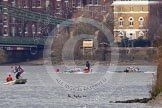 The Boat Race season 2013 - fixture CUBC vs Molesey BC, Goldie vs London RC.
Tideway,
London SW15,

United Kingdom,
on 16 March 2013 at 15:14, image #74