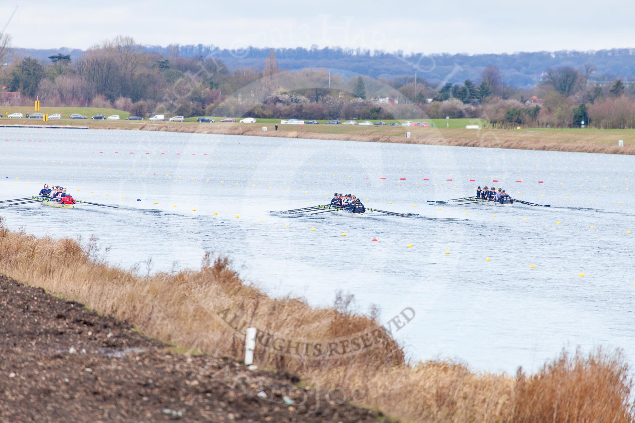 The Boat Race season 2013 - fixture OUWBC vs Olympians: Racing down Dorney Lake, on the left the Olympians Eight, in the middle the OUWBC Blue Boat, on the right OUWBC reserve boat Osiris..
Dorney Lake,
Dorney, Windsor,
Buckinghamshire,
United Kingdom,
on 16 March 2013 at 11:37, image #87