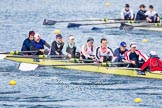 The Boat Race season 2013 - fixture OUWBC vs Olympians: In the Olympians boat at bow Natasha Townsend, 2 Kate Johnson, 3 Christiana Amacker, 4 Bethan Walters, 5 Anna Watkins, 6 Katherine Douglas, 7 Katherine Grainger, stroke Caryn Davies and cox Victoria Stulgis. In the background the OUWBC reserve boat Osiris..
Dorney Lake,
Dorney, Windsor,
Buckinghamshire,
United Kingdom,
on 16 March 2013 at 11:56, image #156