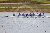 The Boat Race season 2013 - fixture OUWBC vs Olympians: In the Oxford (OUWBC) Blue Boat cox Katie Apfelbaum, stroke Maxie Scheske, Anastasia Chitty, Harriet Keane, Amy Varney, Jo Lee, Mary Foord-Weston, Alice Carrington-Windo, and at bow Mariann Novak..
Dorney Lake,
Dorney, Windsor,
Buckinghamshire,
United Kingdom,
on 16 March 2013 at 12:18, image #239