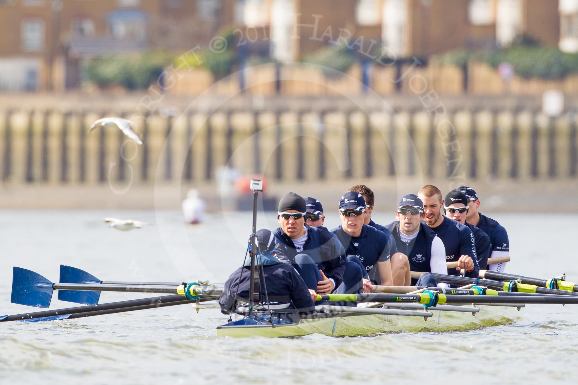 The Boat Race season 2013 -  Tideway Week (Friday) and press conferences.
River Thames,
London SW15,

United Kingdom,
on 29 March 2013 at 11:09, image #78