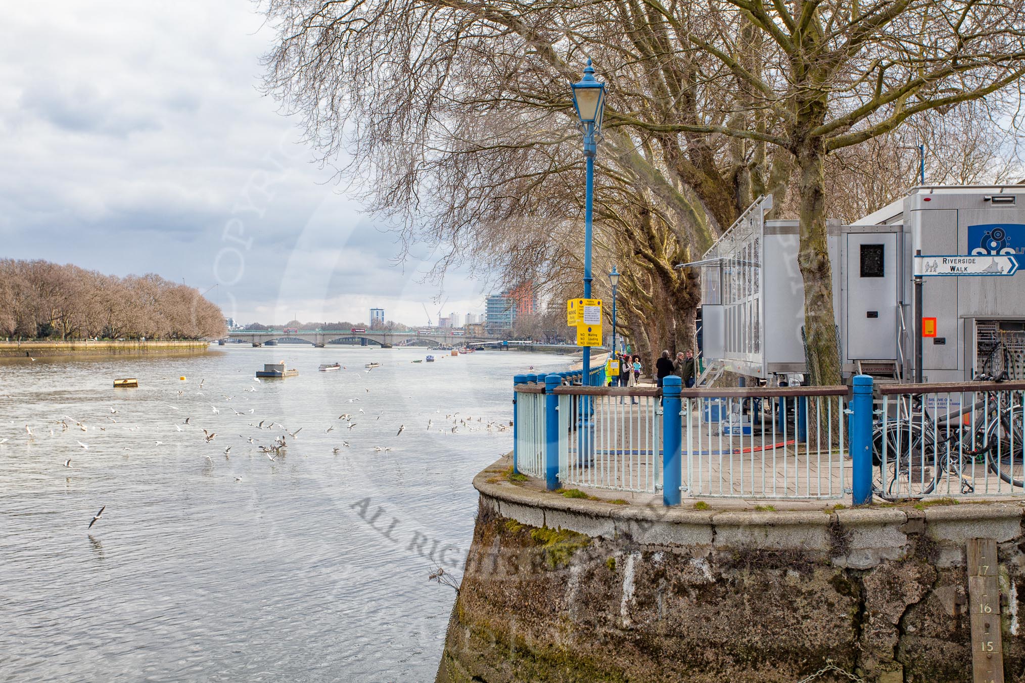 The Boat Race season 2013 -  Tideway Week (Friday) and press conferences.
River Thames,
London SW15,

United Kingdom,
on 29 March 2013 at 12:59, image #127