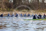 The Boat Race season 2014 - Women's Trial VIIIs (OUWBC, Oxford): Boudicca vs Cleopatra..
River Thames between Putney Bridge and Mortlake,
London SW15,

United Kingdom,
on 19 December 2013 at 12:56, image #164
