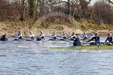 The Boat Race season 2014 - Women's Trial VIIIs (OUWBC, Oxford): Boudicca vs Cleopatra..
River Thames between Putney Bridge and Mortlake,
London SW15,

United Kingdom,
on 19 December 2013 at 12:56, image #165