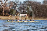 The Boat Race season 2014 - Women's Trial VIIIs(CUWBC, Cambridge): Nudge Nudge: Cox Esther Momcilovic, Stroke Holly Game, 7 Izzy Vyvyan, 6 Kate Ashley, 5 Valentina Futoryanova, 4 Catherine Foot, 3 Hannah Evans, 2 Anouska Bartlett, Bow Lottie Meggitt..
River Thames between Putney Bridge and Mortlake,
London SW15,

United Kingdom,
on 19 December 2013 at 13:45, image #256