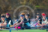 The Boat Race season 2014 - Women's Trial VIIIs(CUWBC, Cambridge): Nudge Nudge:Stroke Holly Game,7 Izzy Vyvyan, 6 Kate Ashley..
River Thames between Putney Bridge and Mortlake,
London SW15,

United Kingdom,
on 19 December 2013 at 14:06, image #373