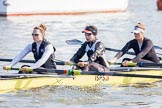 The Boat Race season 2014 - fixture OUWBC vs Molesey BC: The Molesey BC Eight, with 7 Karen Bennett, 6 Gabby Rodriguez and 5 Amber Anderson..




on 01 March 2014 at 12:03, image #23