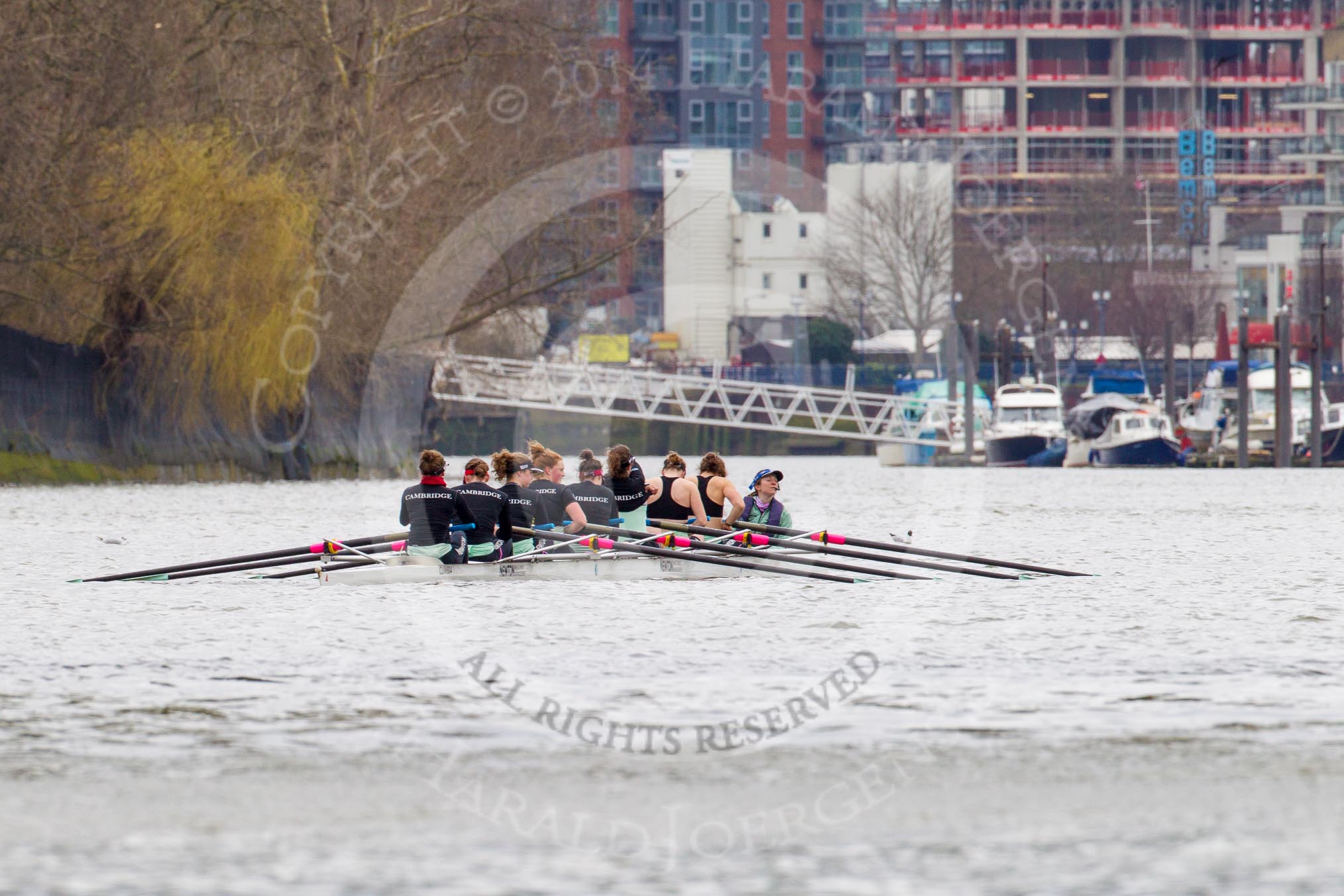 The Boat Race season 2014 - fixture CUWBC vs Thames RC: The Cambridge boat waiting for the start of the race between Hammersmith Bridge and Wandsworth Bridge..




on 02 March 2014 at 13:06, image #22