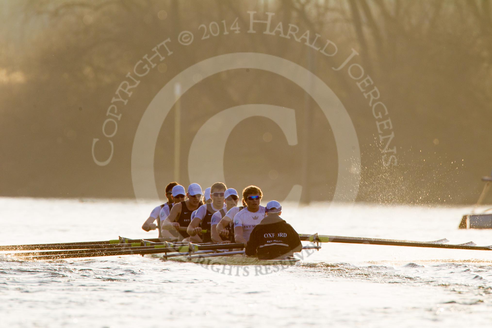 The Boat Race season 2014 - fixture OUBC vs German U23: The OUBC boat near Chiswick Eyot..
River Thames between Putney Bridge and Chiswick Bridge,



on 08 March 2014 at 16:55, image #140
