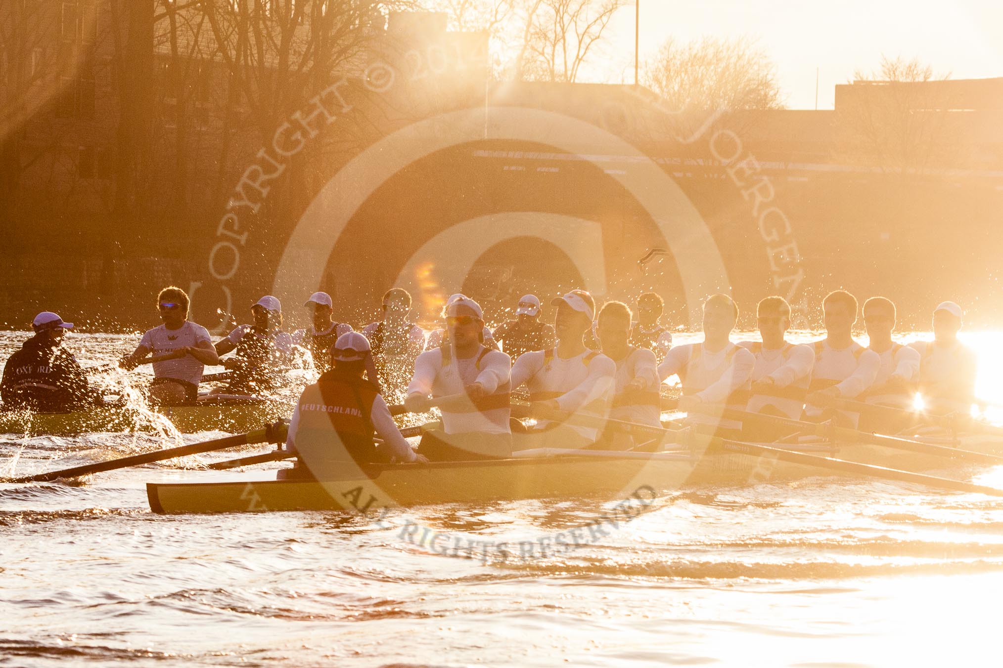 The Boat Race season 2014 - fixture OUBC vs German U23: The OUBC boat, on the left, and the German U23 boat during the second race between Barnes Railway Bridge and the finish line at Chiswick Bridge, shot against  the evening sun..
River Thames between Putney Bridge and Chiswick Bridge,



on 08 March 2014 at 17:09, image #253