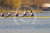 The Boat Race season 2014 - fixture OUBC vs German U23: The OUBC boat: 5 Malcolm Howard, 4 Thomas Swartz, 3 Karl Hudspith, 2 Chris Fairweather, bow Storm Uru..
River Thames between Putney Bridge and Chiswick Bridge,



on 08 March 2014 at 16:41, image #12
