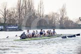 The Boat Race season 2014 - fixture OUBC vs German U23: The OUBC boat..
River Thames between Putney Bridge and Chiswick Bridge,



on 08 March 2014 at 16:47, image #60