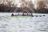 The Boat Race season 2014 - fixture OUBC vs German U23: The OUBC boat near the Mile Post..
River Thames between Putney Bridge and Chiswick Bridge,



on 08 March 2014 at 16:49, image #92