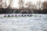 The Boat Race season 2014 - fixture OUBC vs German U23: The German U23-boat approaching the Mile Post..
River Thames between Putney Bridge and Chiswick Bridge,



on 08 March 2014 at 16:49, image #93