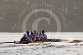 The Boat Race season 2014 - fixture OUBC vs German U23: The OUBC boat in the low evening sun..
River Thames between Putney Bridge and Chiswick Bridge,



on 08 March 2014 at 16:56, image #150