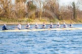 The Boat Race season 2014 - fixture OUBC vs German U23: The OUBC boat at the start of the second race..
River Thames between Putney Bridge and Chiswick Bridge,



on 08 March 2014 at 17:04, image #213