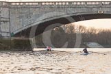 The Boat Race season 2014 - fixture OUBC vs German U23: The German U23 boat after finishing the second race at Chiswick Bridge..
River Thames between Putney Bridge and Chiswick Bridge,



on 08 March 2014 at 17:16, image #284