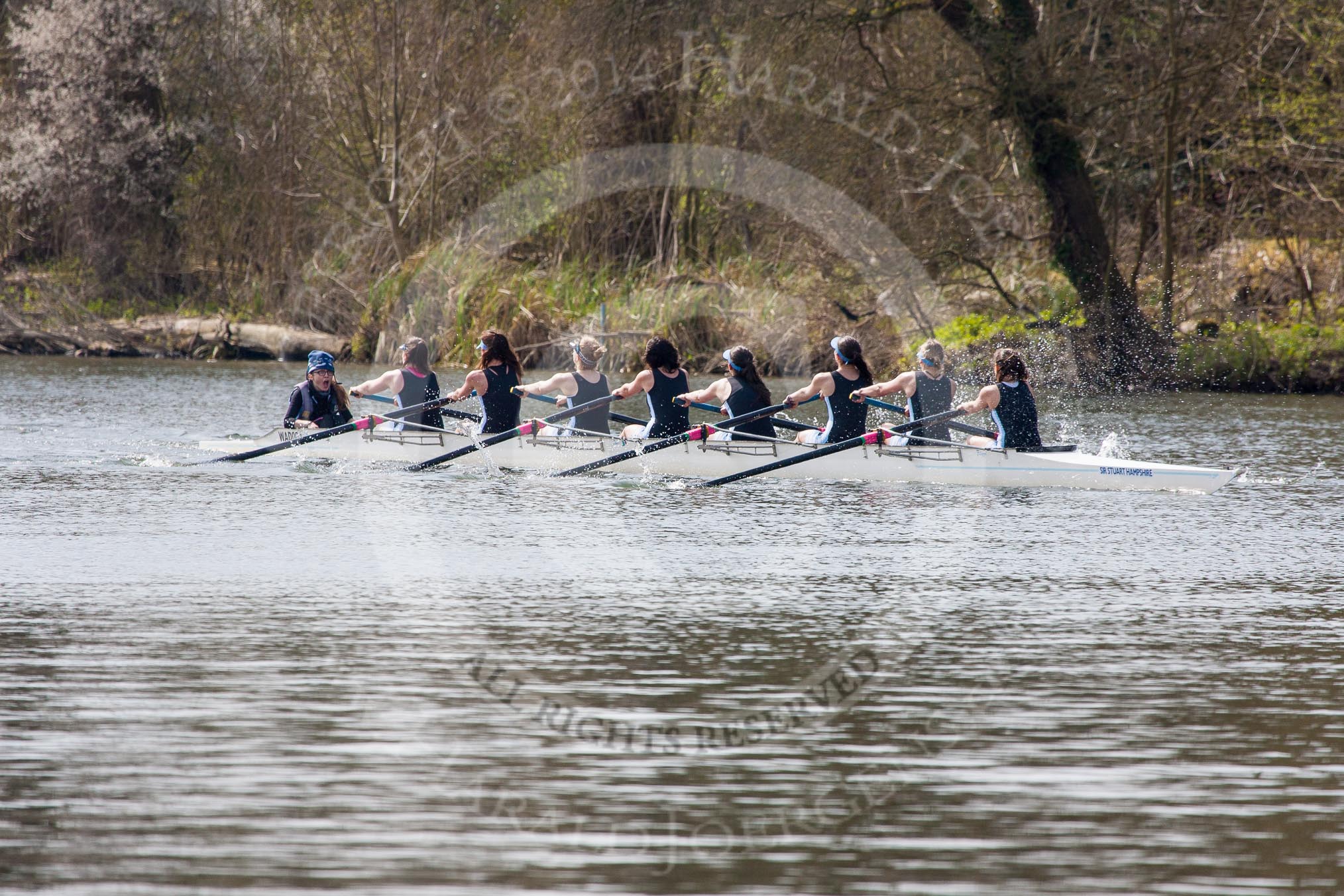 The Women's Boat Race and Henley Boat Races 2014: The Intercollegiate women's race. In the Wadham College (Oxford) boat are cox Harriet-Rose Noons, stroke Hannah Lewis, 7 Katia Mandaltsi, 6 Stephanie Hall, 5 Canna Whyte, 4 Rachel Anderson, 3 Lia Orlando, 2 Anne Binderup and bow Ani Zotti..
River Thames,
Henley-on-Thames,
Buckinghamshire,
United Kingdom,
on 30 March 2014 at 13:27, image #11